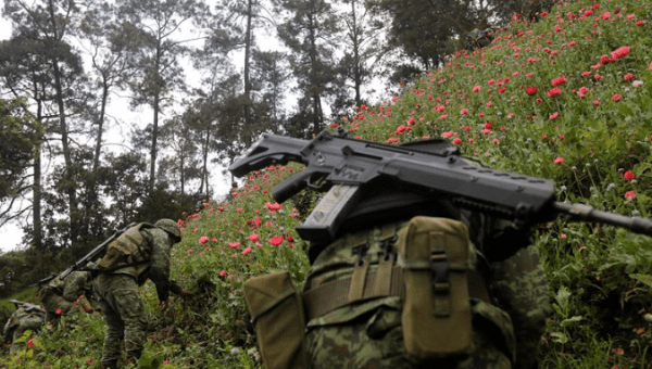 Soldiers destroy an illegal opium plantation in the Sierra Madre del Sur in the southern state of Guerrero, Mexico, August 25, 2018