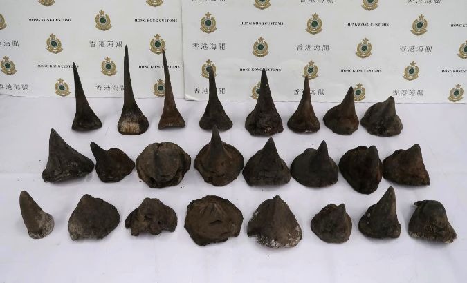 The 24-piece record rhino horn find was addressed to Ho Chi Minh City, Vietnam.