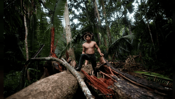 An Indigenous man named Tebu of Uru-eu-wau-wau tribe, looks upon an area deforested by invaders of the Alto Jaru village, near Campo Novo de Rondonia, Brazil Feb. 1, 2019. 