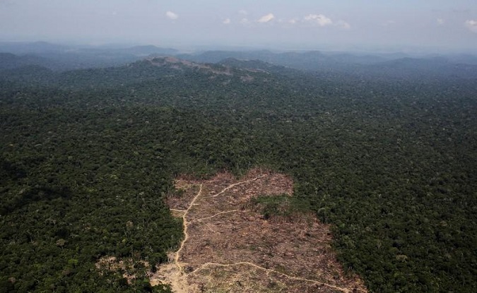 An aerial view of a tract of Amazon jungle recently cleared by loggers and farmers near the city of Novo Progresso, Brazil September 22, 2013.