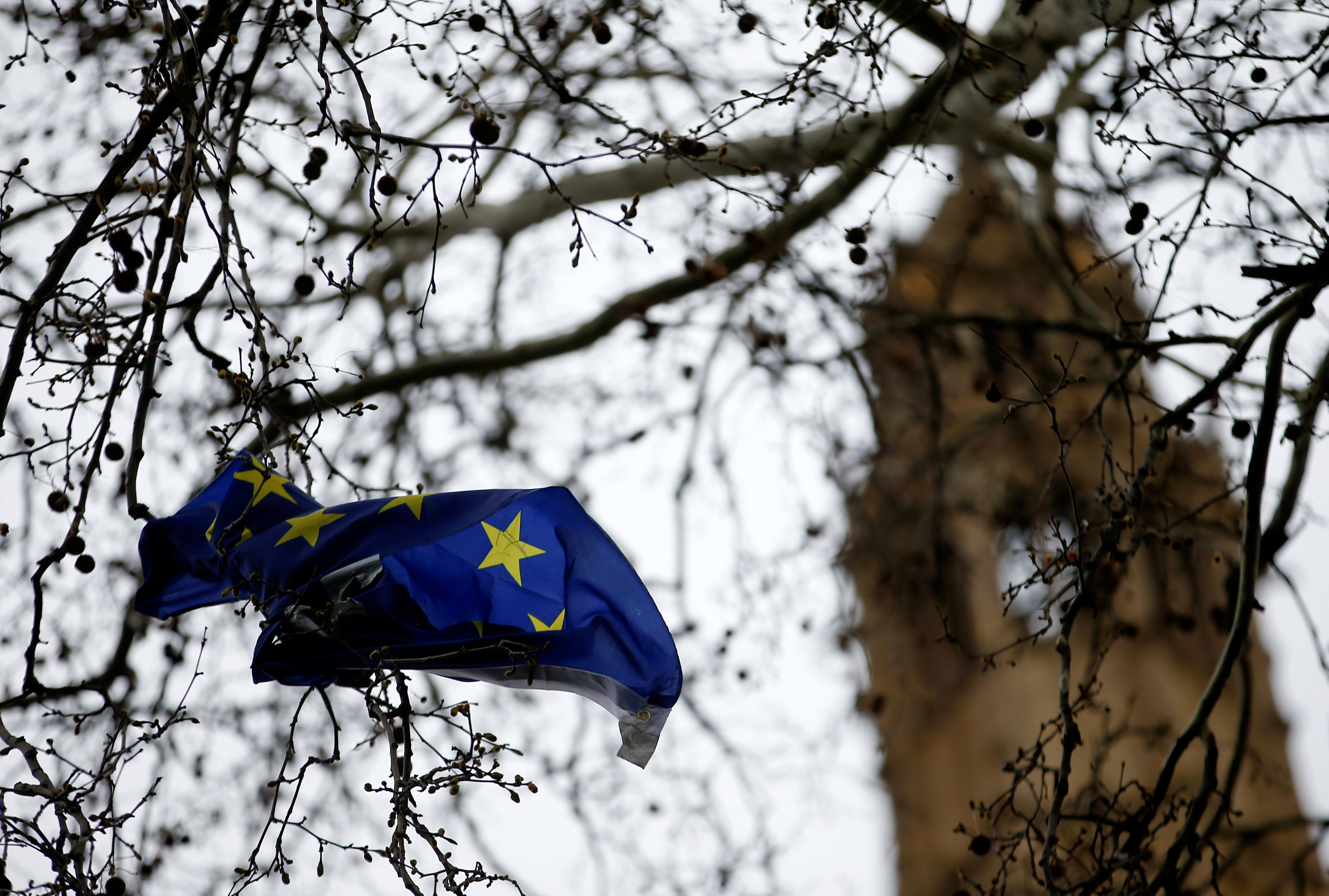 An EU flag is seen stuck in a tree outside the Houses of Parliament in London, Britain March 14, 2019.