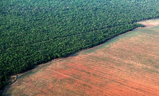 The Amazon rainforest is bordered by deforested land, prepared for agriculture.