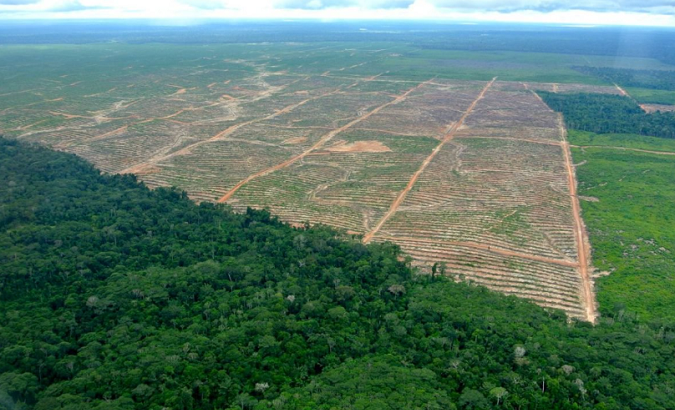 Illegal mining and drug processing lead to widespread contamination of the Amazon.