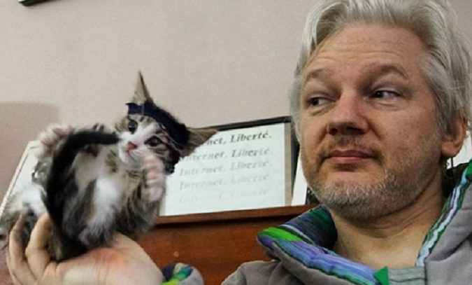 Julian Assange poses with his cat named James at the Ecuador embassy in London.