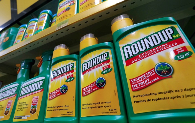 Monsanto's Roundup weedkiller atomizers are displayed for sale at a garden shop near Brussels, Belgium Nov. 27, 2017.
