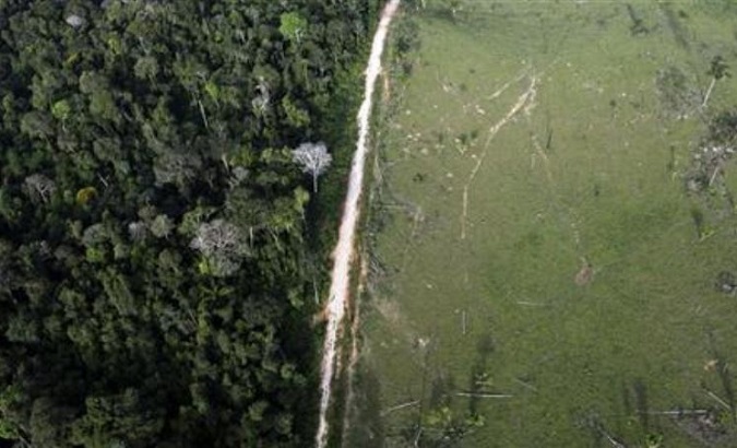 An aerial view shows illegal deforestation close to the Amazonia National Park in Brazil May 25, 2012.