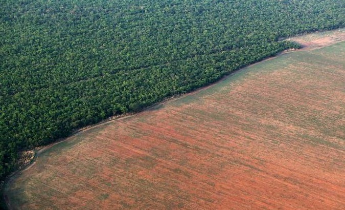 Brazil's Bolsonaro approved hazardous pesticides since he took office.