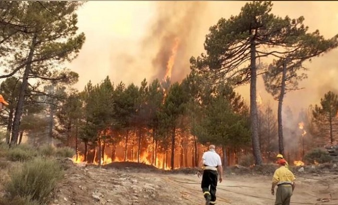 Firefighters are seen near wildfires in Alto de la Centenera, near Cuevas del Valle, Spain June 29, 2019.