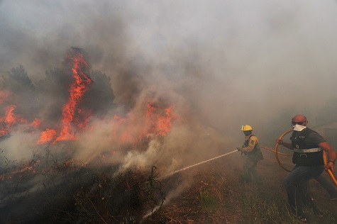 Firefighters help to put out a forest fire near the village of Vila de Rei, Central Portugal.