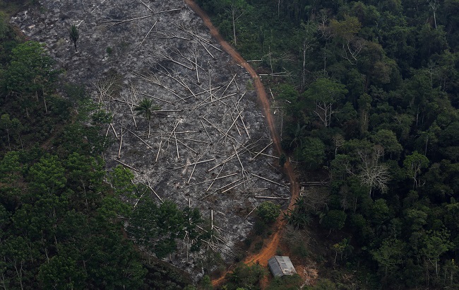 An aerial view of a deforested plot of the Amazon at the Bom Futuro National Forest in Porto Velho, Rondonia State, Brazil, September 3, 2015.