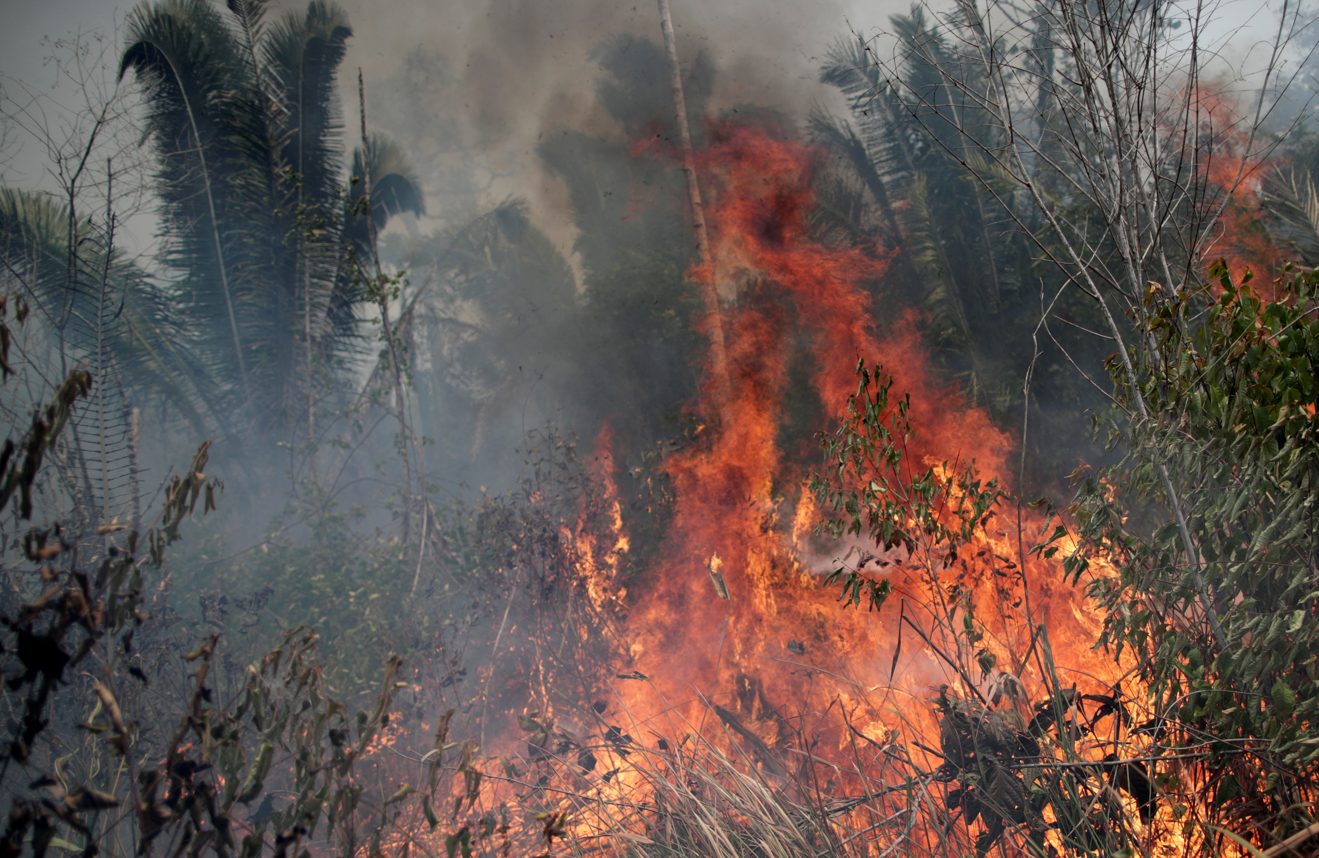 A tract of the Amazon jungle burns as it is cleared by loggers and farmers in Porto Velho, Brazil August 24, 2019.