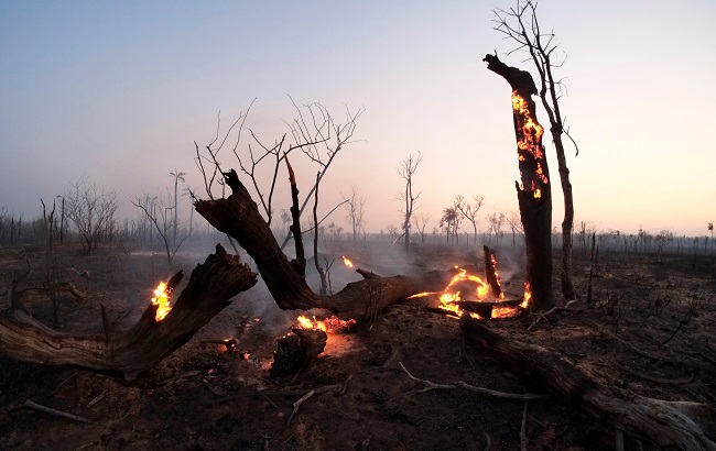 Fire burns at the Guarani Nation Ecological Conservation Area Nembi Guasu, where wildfires have destroyed hectares of forest, in the Charagua region, Bolivia, August 29, 2019.