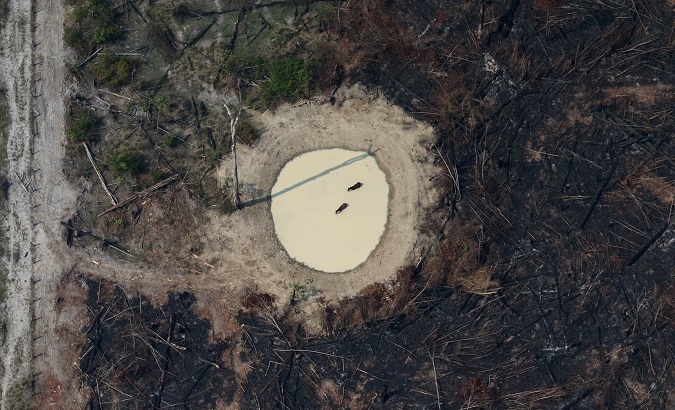 Aerial view of a burned tract of Amazon jungle cleared by loggers near Porto Velho, Brazil, August 29, 2019.