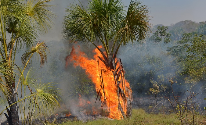 Fire burns a tract of the Amazon jungle in Agua Boa, Mato Grosso state, Brazil September 4, 2019.