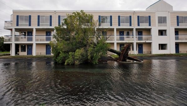 Fallen tree in a hotel parking lot after Hurricane Dorian swept through in Wilmington, North Carolina, U.S., September 6, 2019.