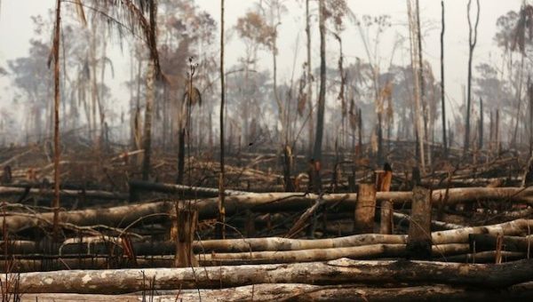 A tract of Amazon jungle is seen after a fire in Boca do Acre, Amazonas state, Brazil August 24, 2019.