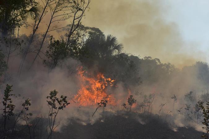 A fire burns a tract of the Amazon jungle in Agua Boa, Mato Grosso state, Brazil September 4, 2019.