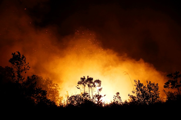 Trees and peatland are pictured during a fire in Palangka Raya, Central Kalimantan province, Indonesia, September 17, 2019.