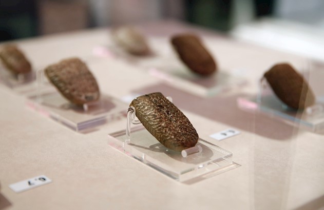 Part of Achaemenid-era clay tablets are on display at Iran's National Museum in Tehran, Iran, 02 October 2019
