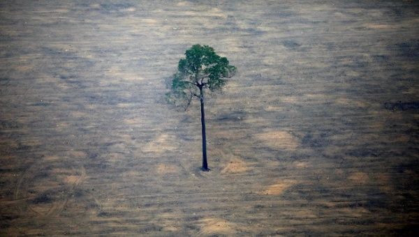 An aerial view shows a deforested plot of the Amazon near Porto Velho, Rondonia State, Brazil, September 17, 2019.