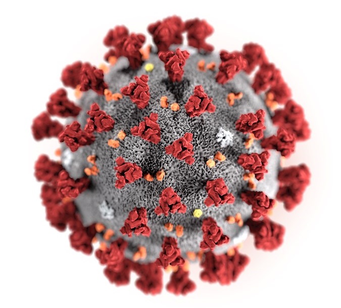 Illustration of the Coronavirus made available by the Centers for Disease Control and Prevention (CDC), Atlanta, Georgia, USA, Jan. 31, 2020.