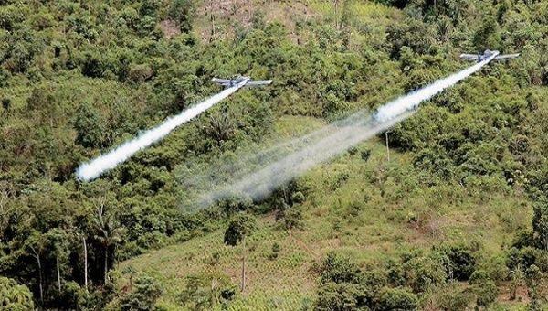 Glyphosate sprays have been used previously in Colombia, without positive results. 