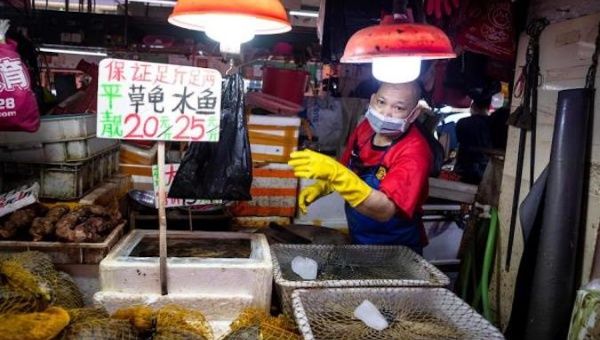 A vendor wearing a mask sells live turtles on Xihua Farmer's Market in Guangzhou, Guangdong province, China, May 4, 2020. 
