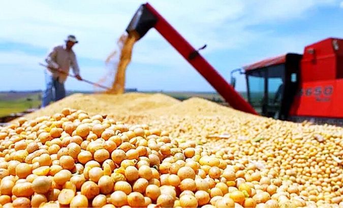 This comes as Añez's de-facto government passed Supreme Decree 4232 on May 7 green-lighting the use of GM seeds for five types of crops: corn, soy, wheat, sugar cane, and cotton.
