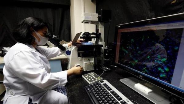 A Thai technologist works on Immunofluorescence process to conduct a test for COVID-19 vaccine, Chula Vaccine Research Center in Bangkok, Thailand, May 8, 2020. 