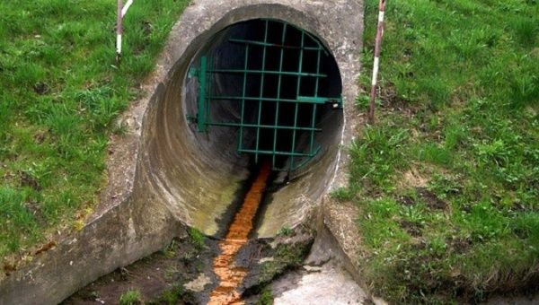 The scientists analyzed human sewage located in Florianópolis from late October until the Brazil lockdown in early March.