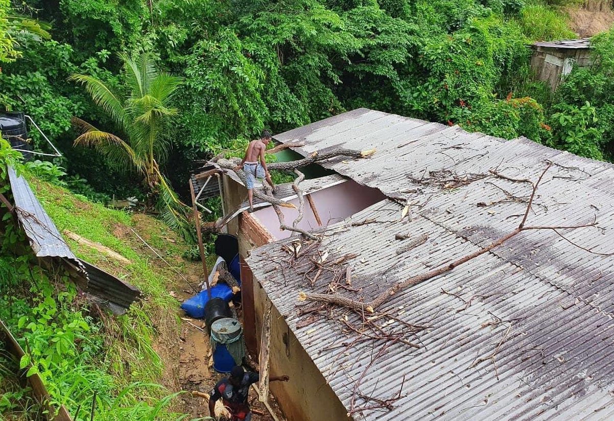 Fallen tree leaves damages to a roof at a home along Factory Road, Port of Spain, Trinidad and Tobago. July 25, 2020.