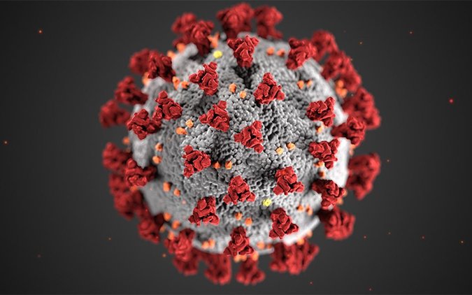 The first novel coronavirus reinfection case in the United States has been described in a Nevada study.