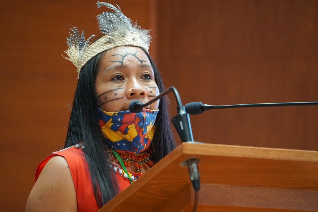 Bibiana Benavides, captian of the Pemón Mapaurí community of Bolívar state, in Venezuela, speaks at the closing of the Meeting of the Peoples and Organizations of Abya Yala towards the Construction of a Plurinational America, in Cochabamba, Bolivia. December 19, 2020.