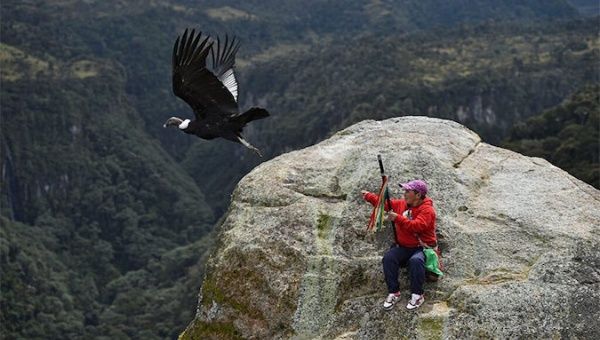 An Indigenous people censing condors in Purace national park, Cauca, Colombia, Feb. 17, 2021.
