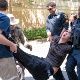 Security forces violently arrest a student in the U.S., April 2024.