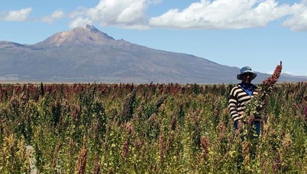 Bolivia aims to eliminate food dependency over the next five years. 