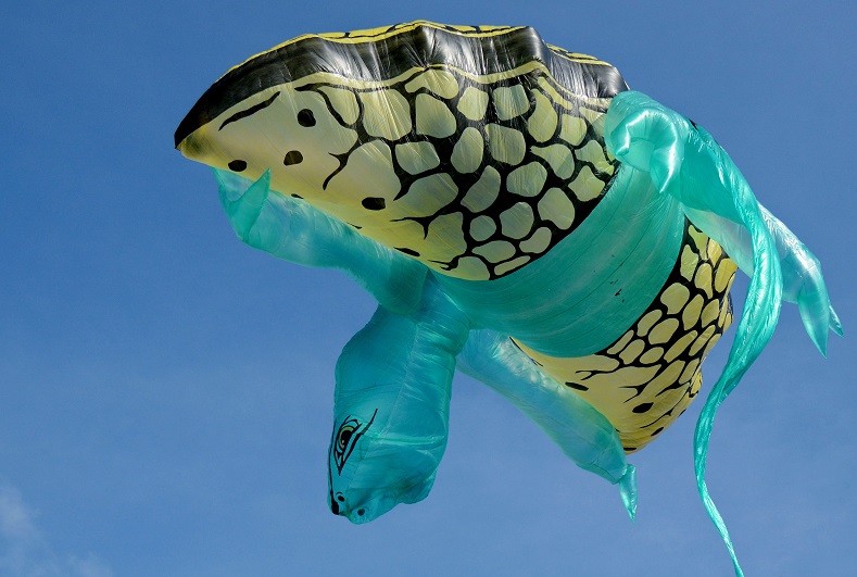 A balloon depicting a lizard