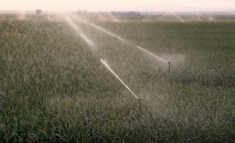 Sprinklers irrigate a crop in the Central Valley near Bakersfield, California, USA, 10 April 2015.