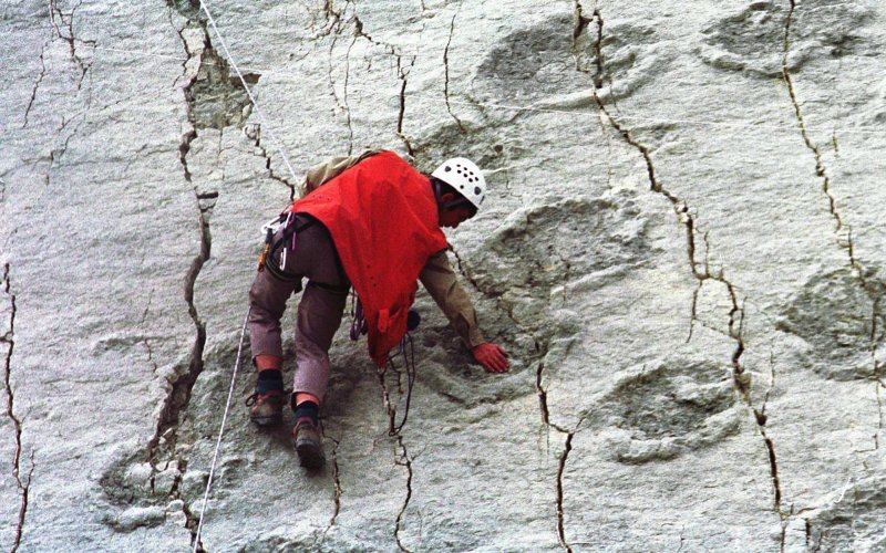 In 2006, Bolivian paleontologists had already discovered 5,000 dinosaurs' footprints.