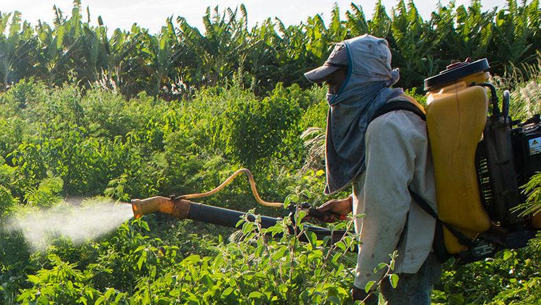 A worker sprays chemicals at a farm in Brazil's Ceara state. The WHO released a report recently which found that Monsanto chemicals 