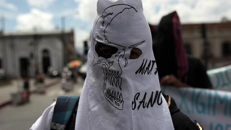 A protester demands the postponement of elections, Aug. 5, 2015.