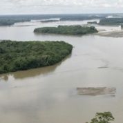 A view of the Napo river in Yasuni National Park