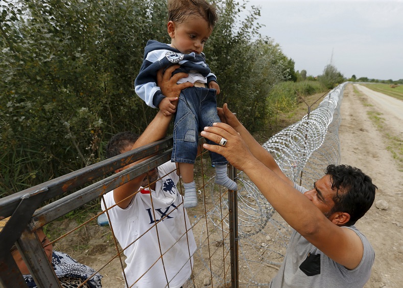 Syrian Kurdish refugees pass a boy over a fence on the Hungarian-Serbian border near Asotthalom, Hungary August 25, 2015. Hungary's government has started to construct a 175-km-long (110-mile-long) fence on its border with Serbia in order to halt a massive flow of migrants who enter the European Union (EU) via Hungary and head to western Europe