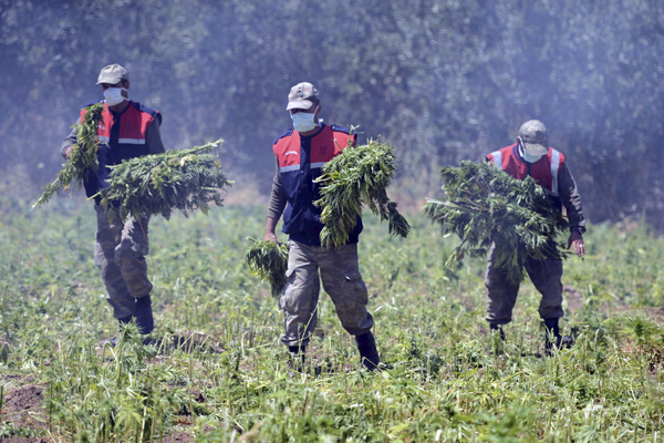 Paraguay is South America's largest marijuana producer.