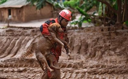A fireman rescues a dog that was trapped in the mud that swept through the village of Bento Rodrigues in Brazil.