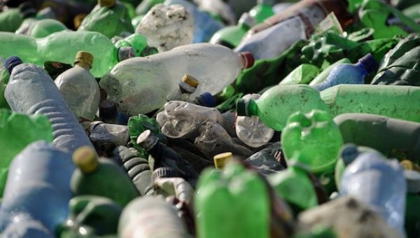 A team of Japanese scientists has discovered a bacteria that’s evolved to break down and consume plastic. 