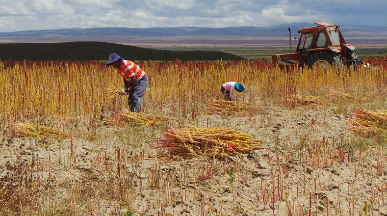Farmers say the Bolivian government needs to provide more aid to help the ailing industry.