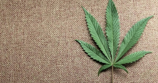 Maine voters will decide whether to make recreational marijuana use legal in November.