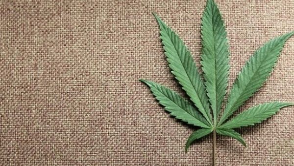 Maine voters will decide whether to make recreational marijuana use legal in November.