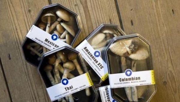 Boxes containing magic mushrooms are displayed at a coffee and smart shop in Rotterdam in the Netherlands.